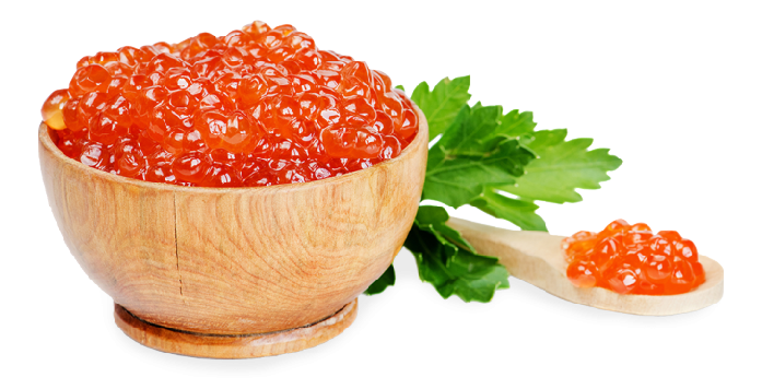 ІКРА Україна